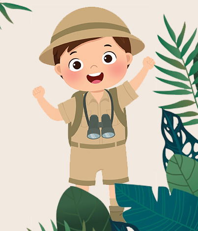 Safari